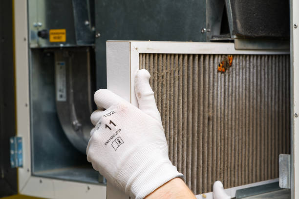 Best Home Air Vent Cleaning  in Curtisville, PA