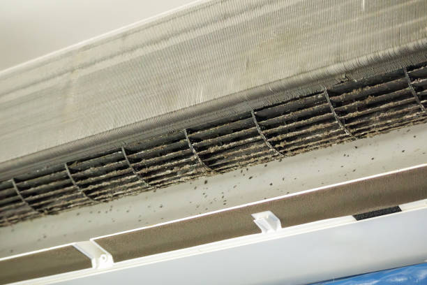 Best General Air Duct Cleaning  in Curtisville, PA