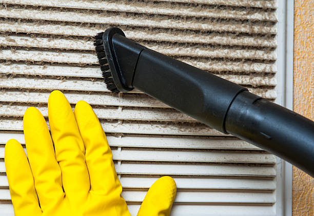 Air Duct Mold Removal in Curtisville, PA